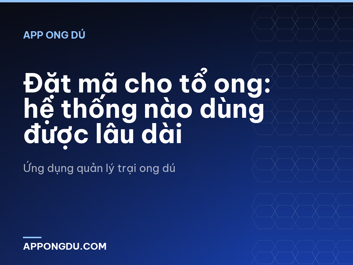 Đặt mã cho tổ ong: hệ thống nào dùng được lâu dài